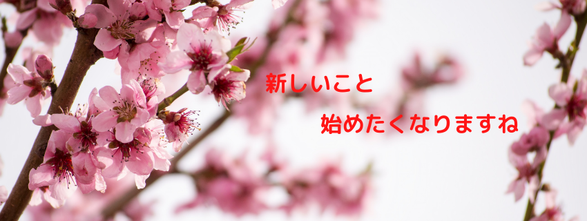 メニュー内容など変更します！！