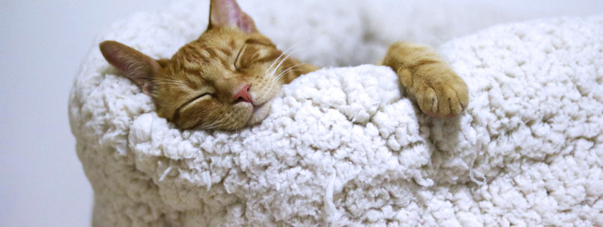 眠くなるし、お腹もすく。